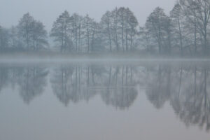 DSCF0023